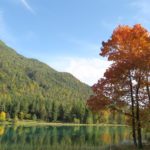 8 Vorbote des Winters